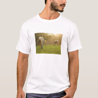 Hästälskareparadis Tee