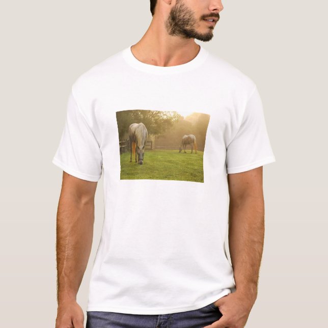 Hästälskareparadis Tee (Framsida)