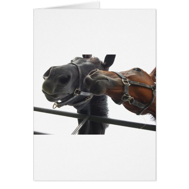 Hästande Hälsningskort (Framsidan)