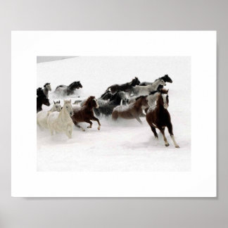 Hästanklagelserna. Poster