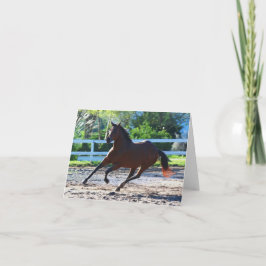 Hästanteckning/hälsningskort 5 kort