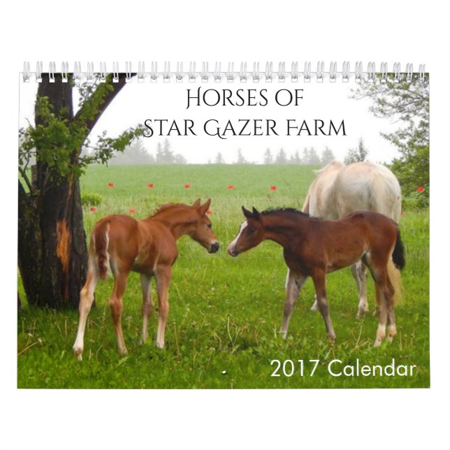 Hästar 2017-kalender kalender (Omslag)