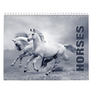Hästar 2022-väggskalender kalender