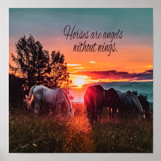 Hästar är änglar utan vingar poster (Framsidan)