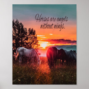 Hästar är änglar utan vinge poster