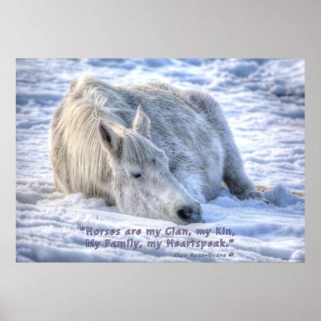 Hästar är min Klan Quote Mare Asov Motivational Poster (Framsidan)