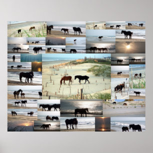Hästar av Carova Poster