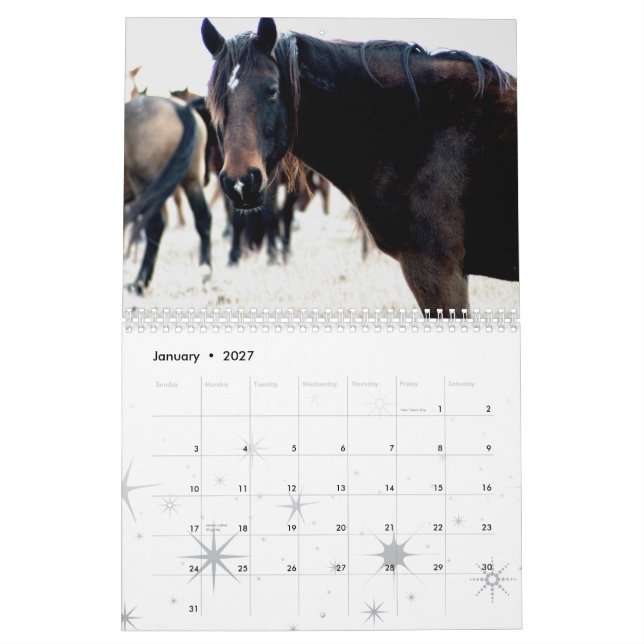 Hästar av flintabackarna kalender (Jan 2027)