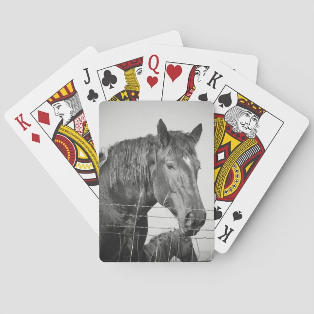 Hästar bakom stängslet i Svarta och vita Spel Kort (Baksidan)