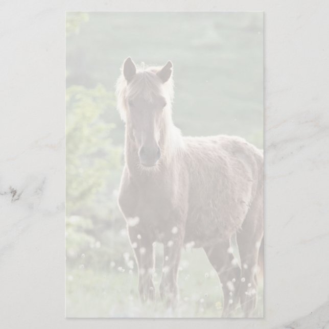 Hästar Brevpapper (Framsida)