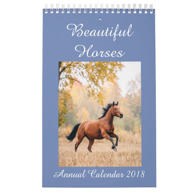 Hästar Calendar 2018 Kalender (Omslag)