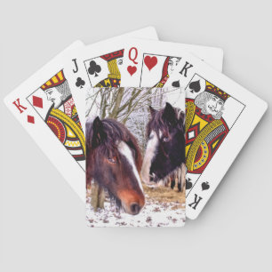 Hästar Casinokort