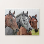 Hästar Farm Djurart Pussel<br><div class="desc">Den här naturen med pussel i pusslet har tre hästar i en betesmark tittar på kameran #häst #animal #animals #farm #farm #nature #liggande #liggande #outdoor #liggande #jigszle #puzzle #jigsawpuzzle #gifts #presenter #roligt #stockingstuffers #play</div>