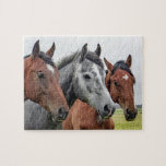 Hästar Farm Djurart Pussel<br><div class="desc">Den här naturen med pussel i pusslet har tre hästar i en betesmark tittar på kameran #häst #animal #animals #farm #farm #nature #liggande #liggande #outdoor #liggande #jigszle #puzzle #jigsawpuzzle #gifts #presenter #roligt #stockingstuffers #play</div>