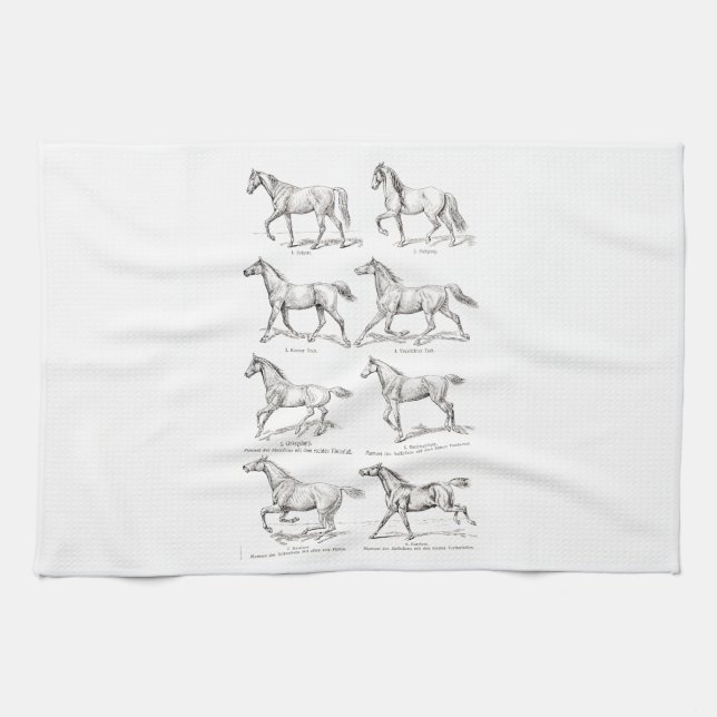 Hästar för illustration för gåendear för kökshandduk (Horisontell)