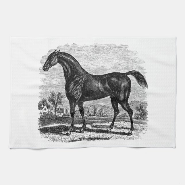 Hästar för Thoroughbred för häst för Kökshandduk (Horisontell)