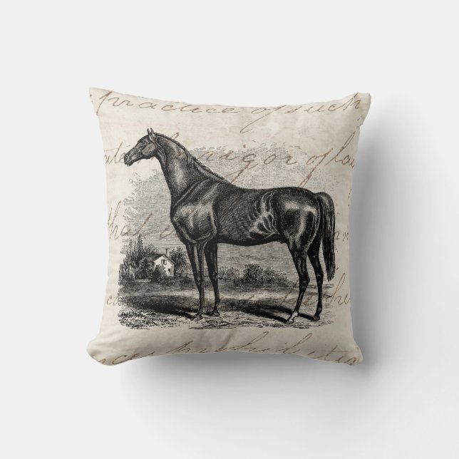 Hästar för Thoroughbred för häst för Kudde (Framsida)