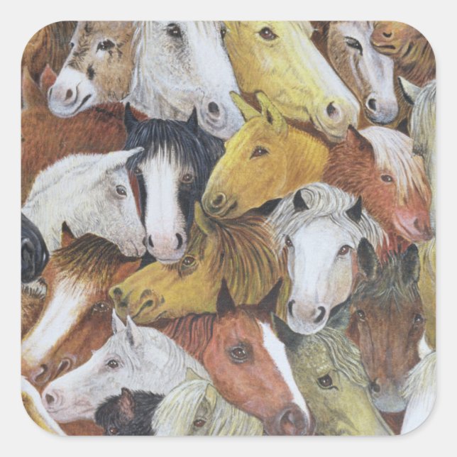 Hästar Fyrkantigt Klistermärke (Framsida)