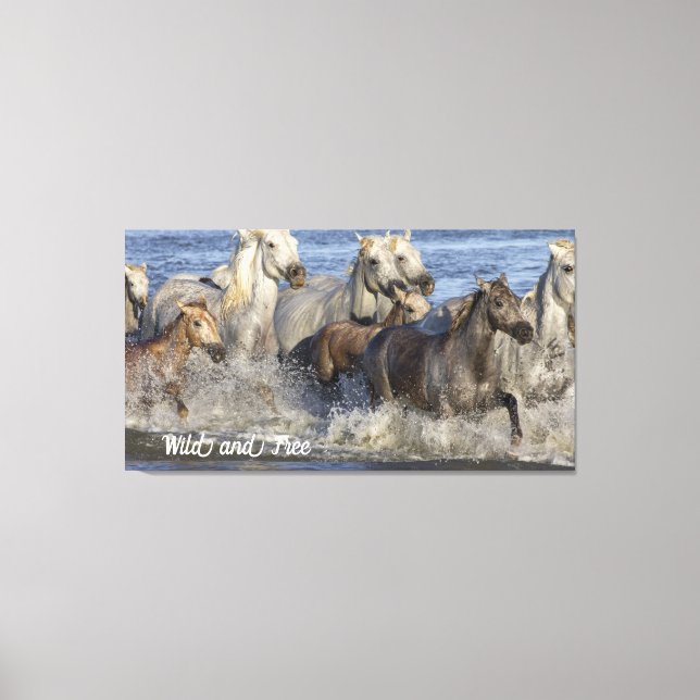 Hästar galopperar i vattnet canvastryck (Framsida)