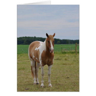 Hästar Hälsningskort