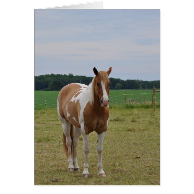 Hästar Hälsningskort (Framsidan)