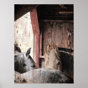 Hästar i en Barn på en regndag Poster