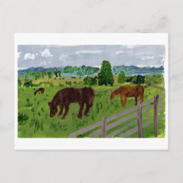 Hästar i ett härligt vykort för betesdjur