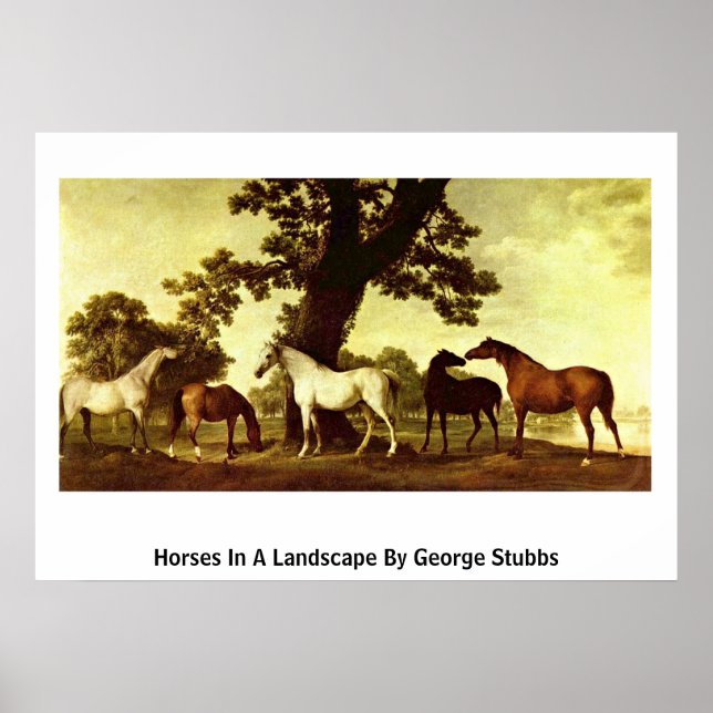 Hästar i ett landskap av George Stubbs Poster (Framsidan)