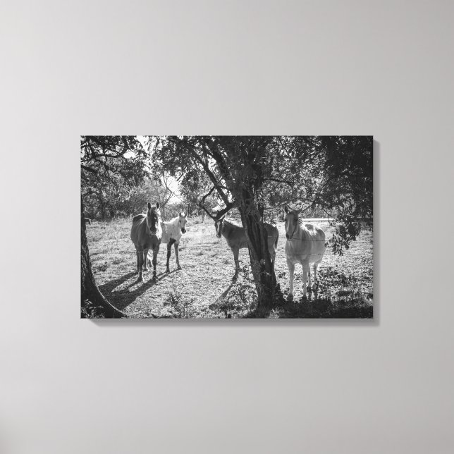Hästar i Fält Canvastryck (Framsida)