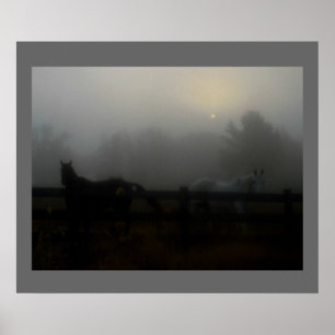 Hästar i Fog Poster