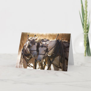 Hästar i Harness Greeting Card Kort