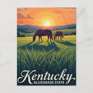 Hästar i Lexington Kentucky Solnedgång Vykort