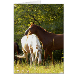 Hästar i Meadow Hälsningskort