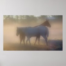 Hästar i morgondunst
