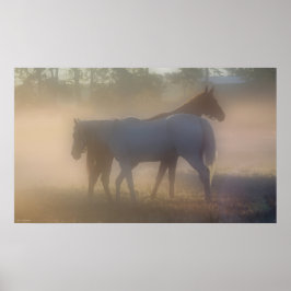 Hästar i morgondunst poster