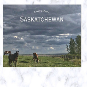 Hästar i Mortlach Saskatchewan Kanada Vykort