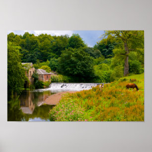 Hästar i Pollok Park, Glasgow Poster
