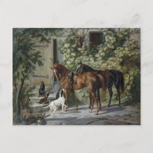 Hästar i Porch (av Albrecht Adam) Vykort
