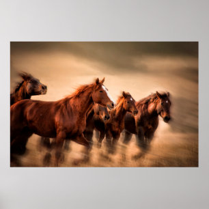 Hästar i rörelse, rörelseoskärpa och fladdrande ma poster