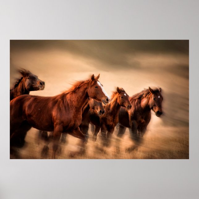 Hästar i rörelse, rörelseoskärpa och fladdrande ma poster (Framsidan)