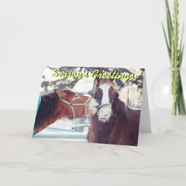 Hästar i snö julkort helgkort (Framsida)