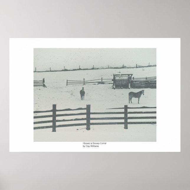 Hästar i Snowy Corral Poster (Framsidan)