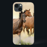 Hästar i solnedgång<br><div class="desc">Hästar i solnedgång som kör i damm © och ® Bigstock® - Med förbehåll för alla Höger.</div>