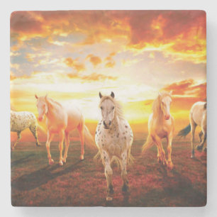 Hästar i sunset dekorativ kudde stenunderlägg