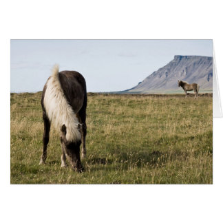 Hästar i Val-fjorden Hälsningskort