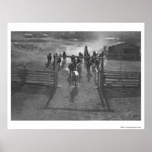 Hästar in i koralen poster