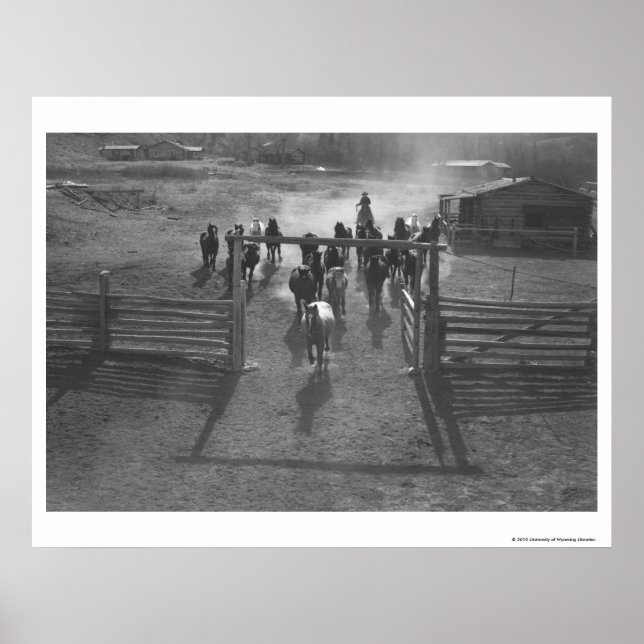 Hästar in i koralen poster (Framsidan)