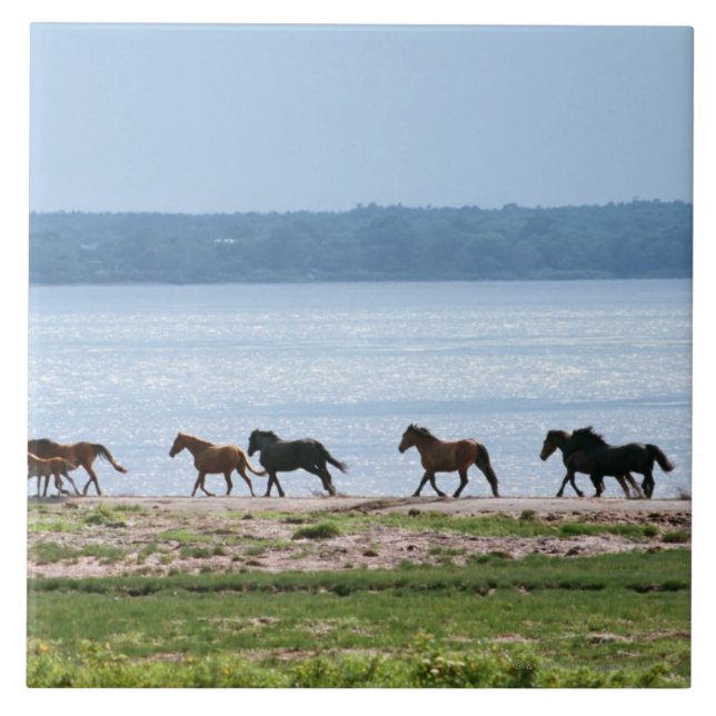 Hästar Kakelplatta (Framsidan)