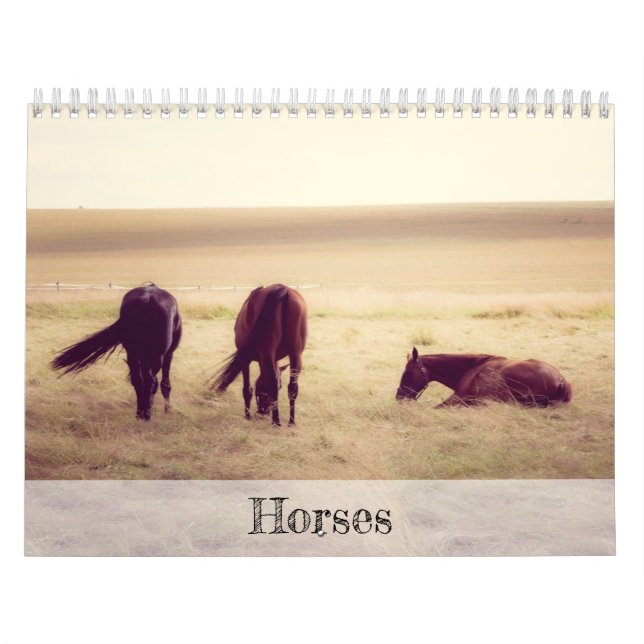 Hästar Kalender (Omslag)