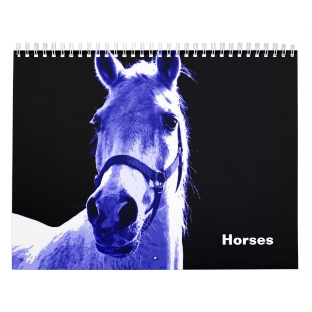 Hästar Kalender (Omslag)